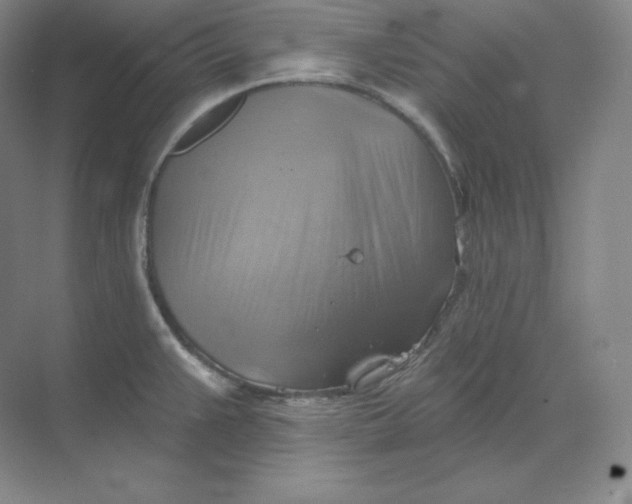 X0000068821383200605191822