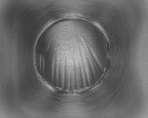 X0000068821384200605191822