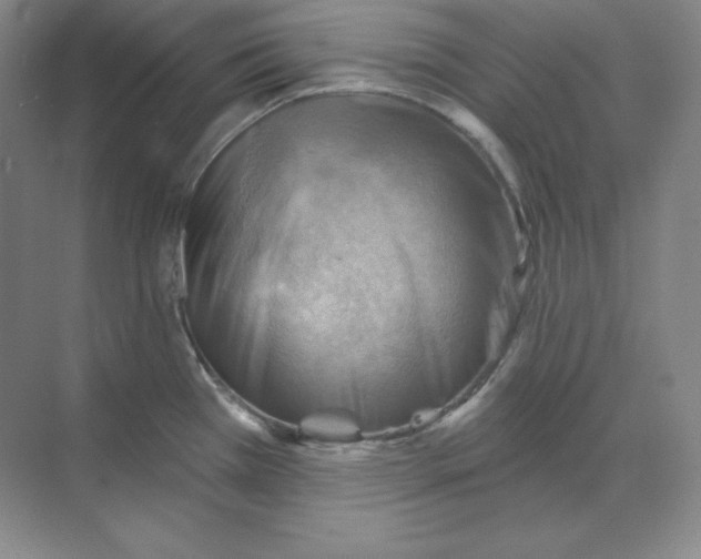 X0000068821385200605191822