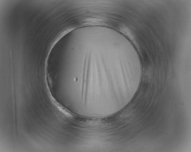 X0000068821386200605191822