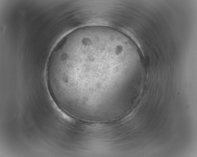 X0000068821387200605191822