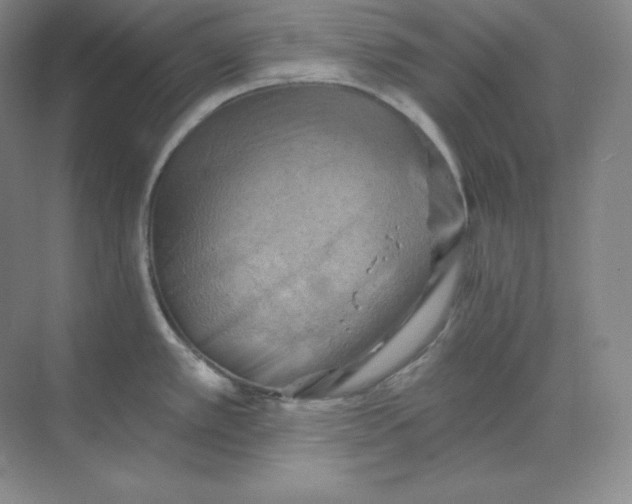 X0000068821389200605191822