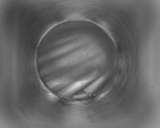 X0000068821390200605191822