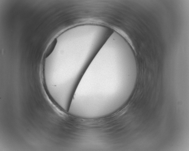 X0000068821391200605191822