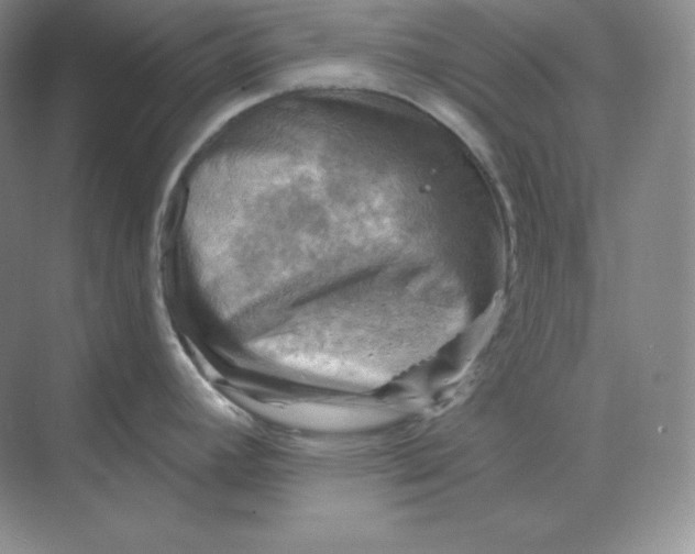 X0000068821392200605191822