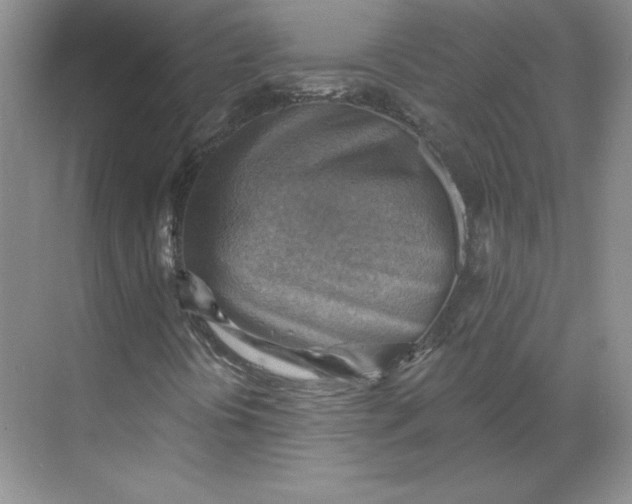 X0000068821394200605191821