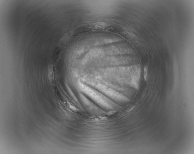 X0000068821395200605191821