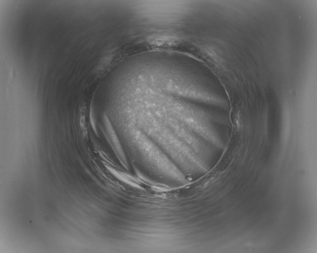 X0000068821396200605191821