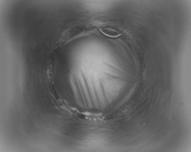 X0000068821397200605191821