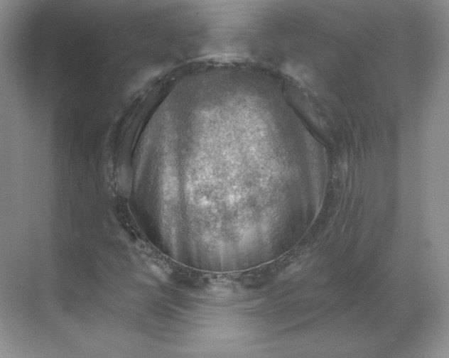 X0000068821398200605191821