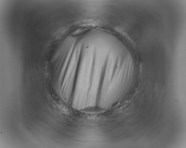 X0000068821399200605191821