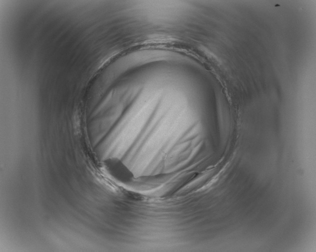 X0000068821401200605191821