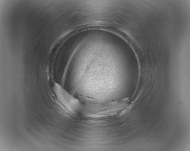 X0000068821402200605191821