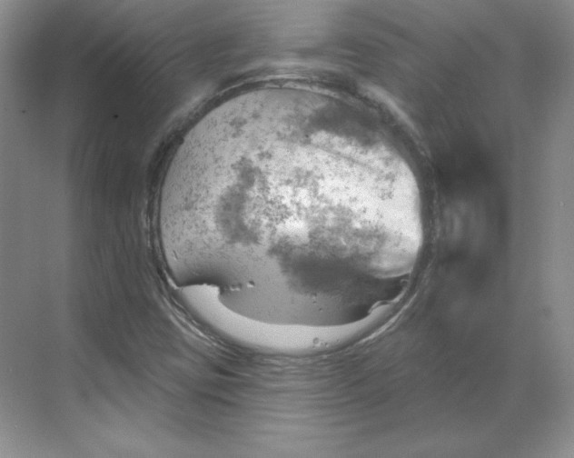 X0000068821403200605191821