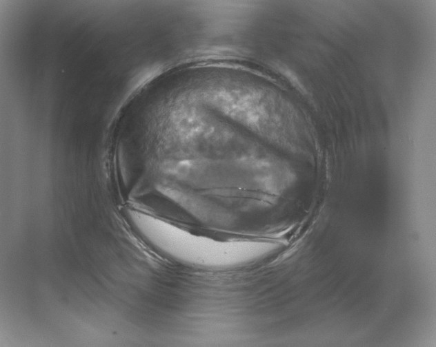 X0000068821405200605191821