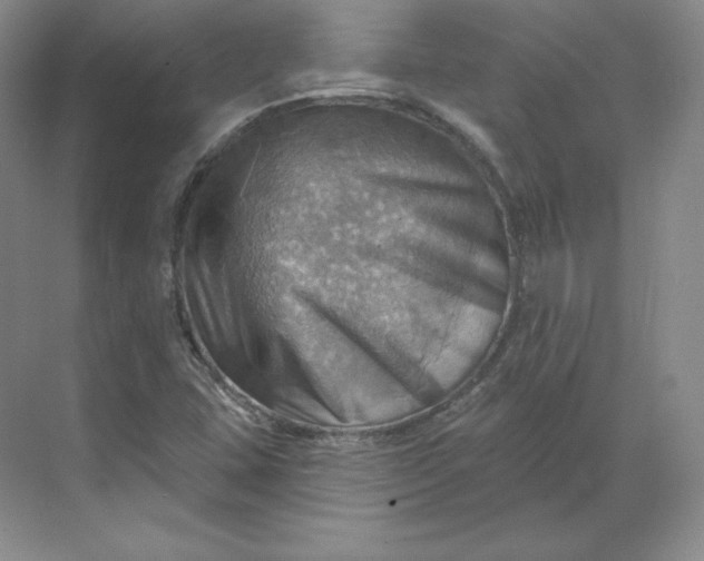 X0000068821407200605191821