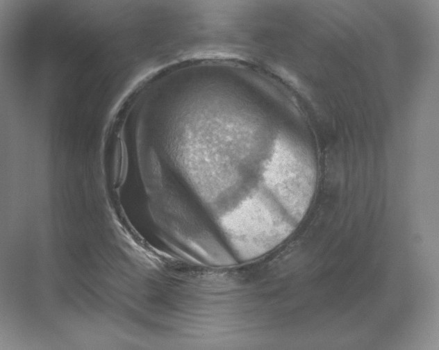 X0000068821408200605191821