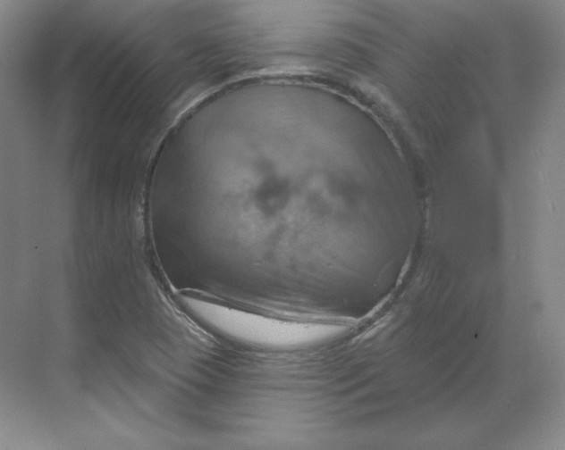 X0000068821409200605191821