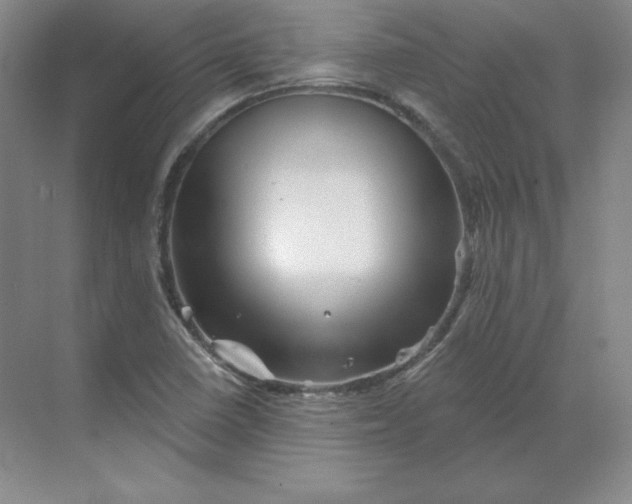 X0000068821410200605191821