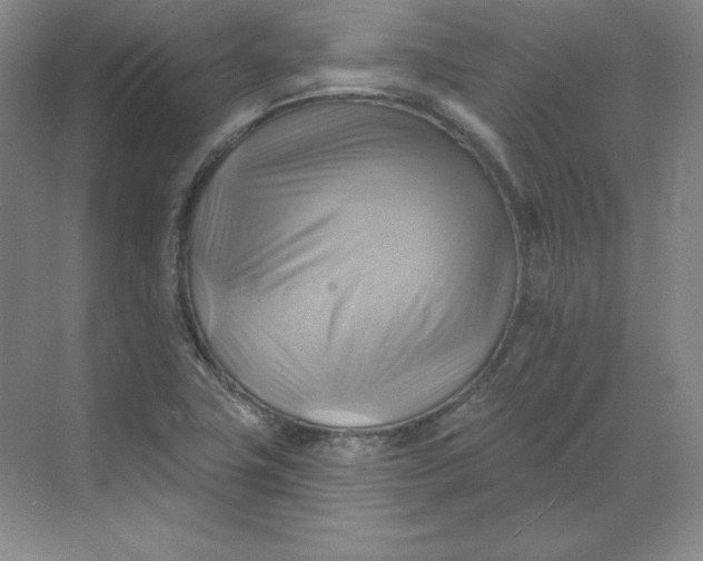 X0000068821411200605191821