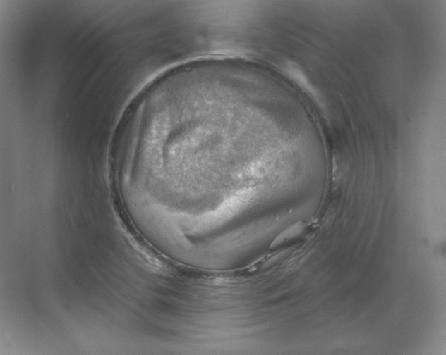 X0000068821412200605191821