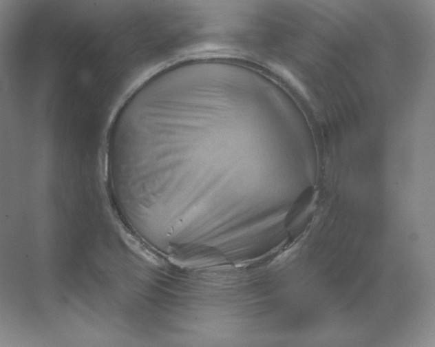 X0000068821413200605191821