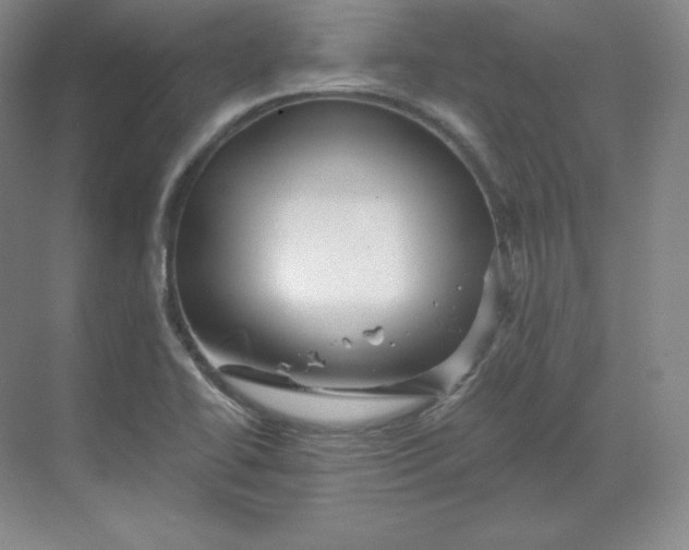 X0000068821414200605191821