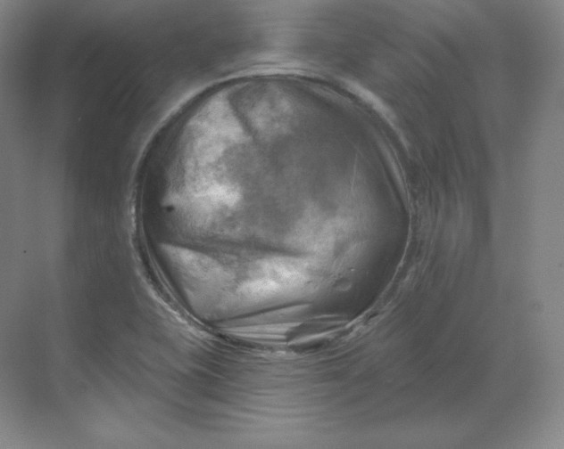 X0000068821415200605191821