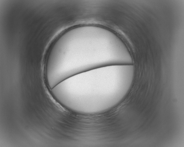 X0000068821416200605191821