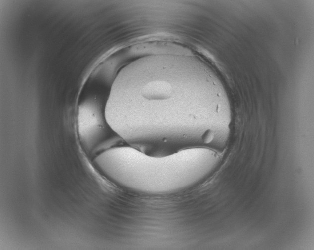 X0000068821418200605191821