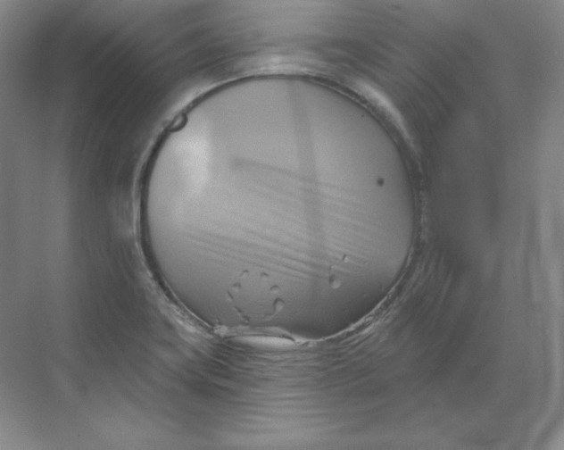 X0000068821419200605191821