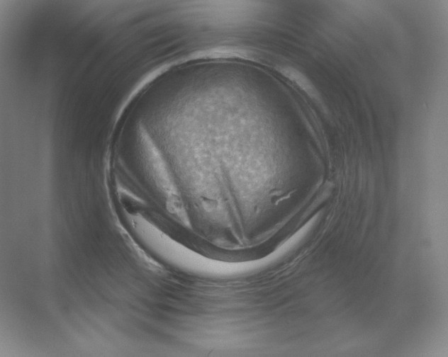 X0000068821420200605191821