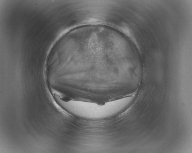 X0000068821421200605191821