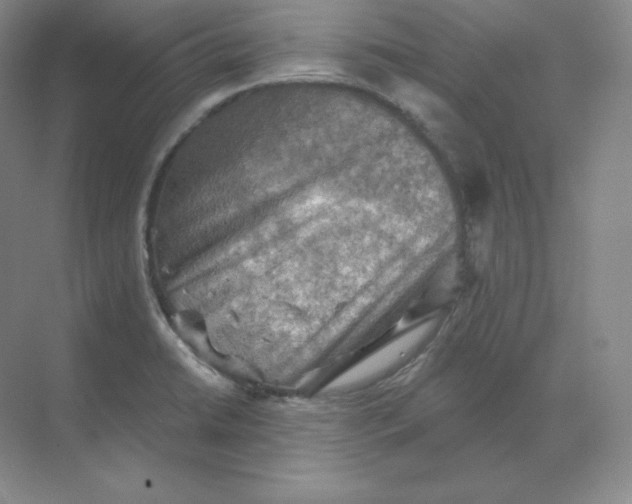 X0000068821422200605191821