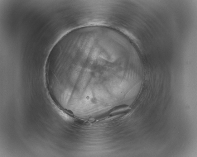 X0000068821423200605191821