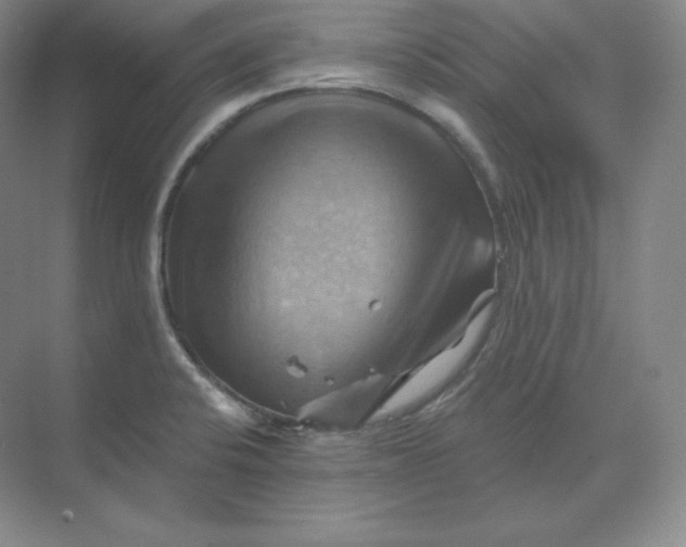 X0000068821424200605191821