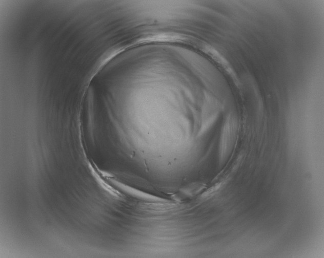 X0000068821425200605191821