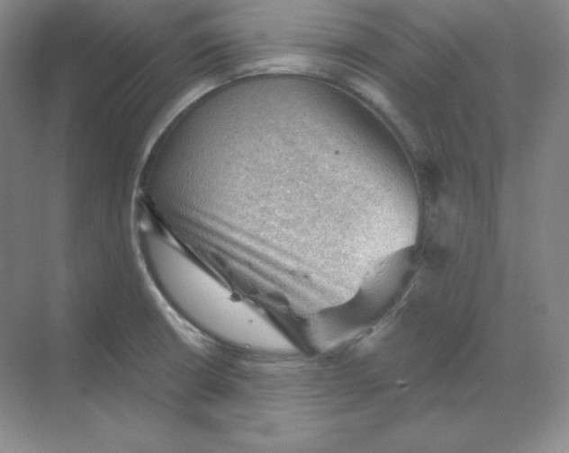 X0000068821426200605191821