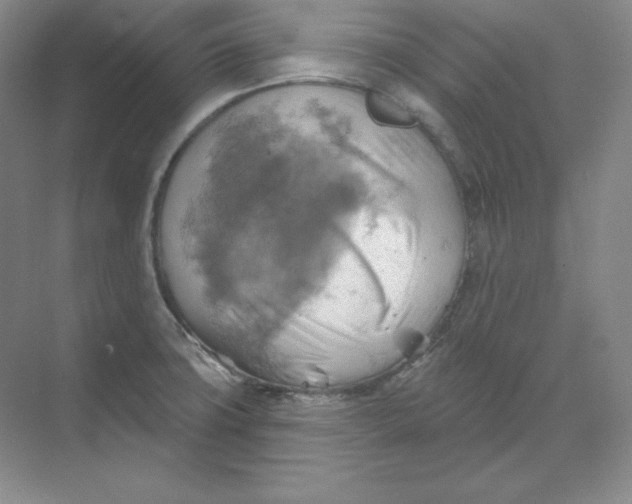 X0000068821427200605191821