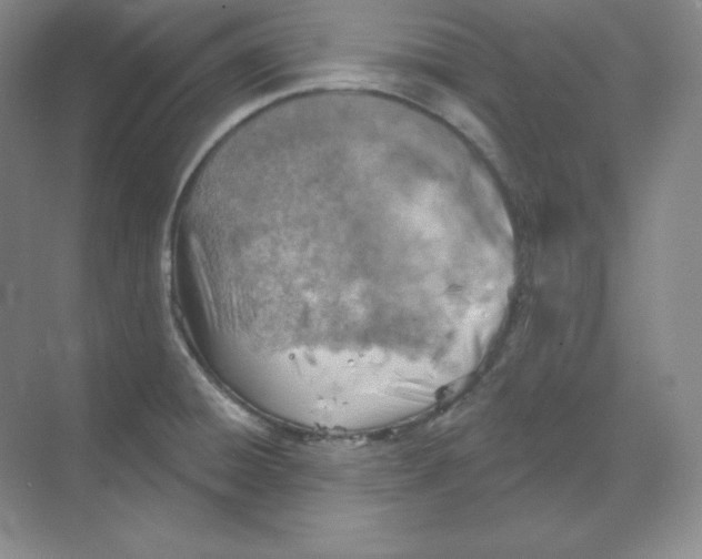 X0000068821428200605191821