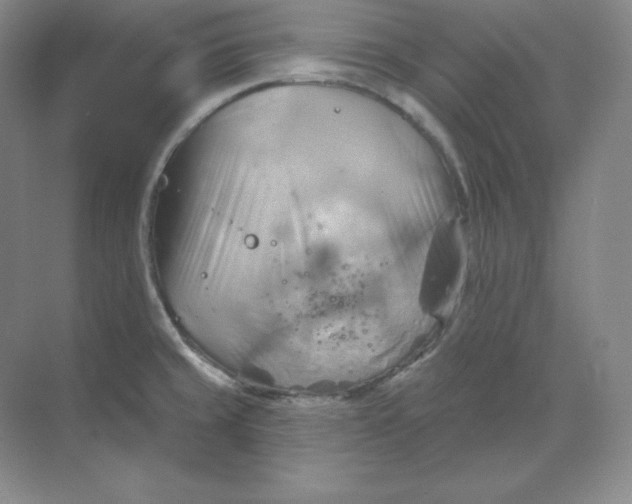 X0000068821429200605191821