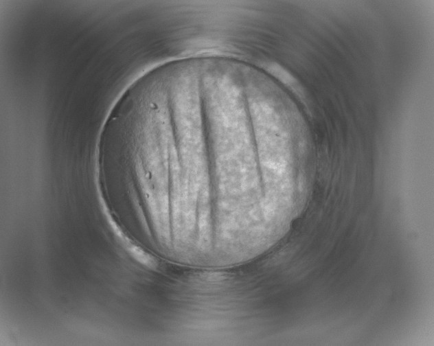 X0000068821431200605191821