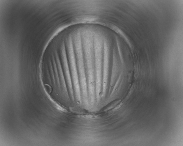 X0000068821432200605191821