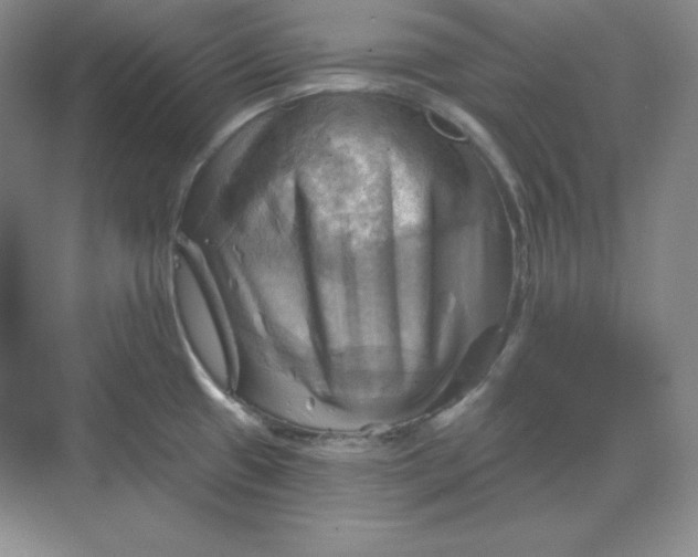 X0000068821433200605191821