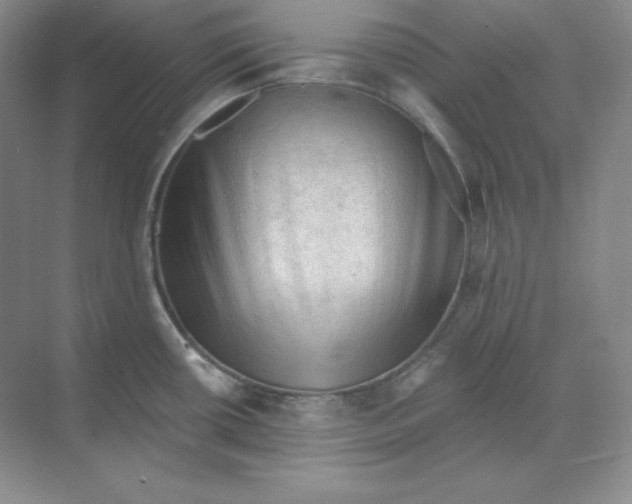 X0000068821434200605191821