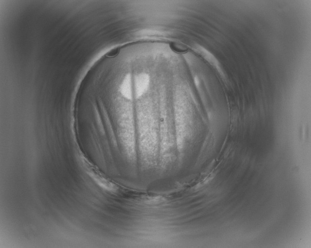 X0000068821435200605191821