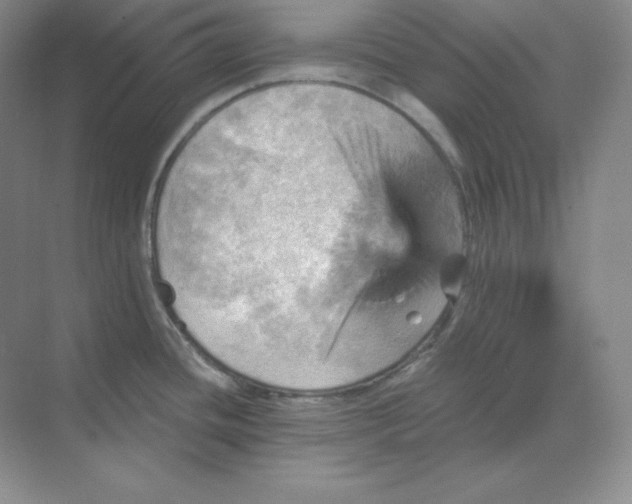 X0000068821436200605191821