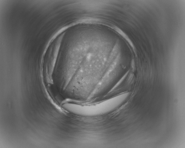 X0000068821437200605191821