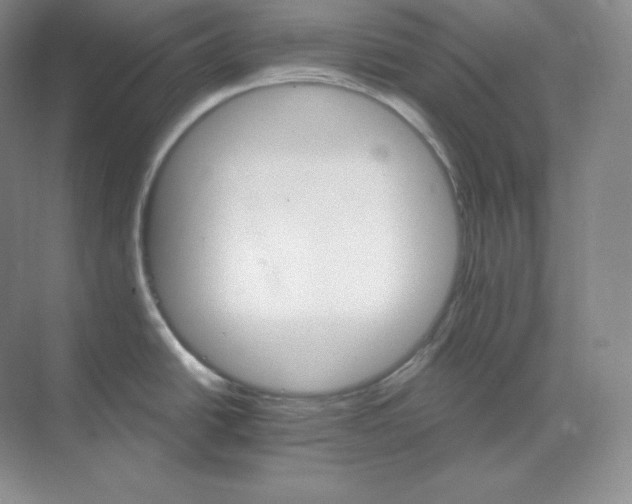 X0000068821438200605191821