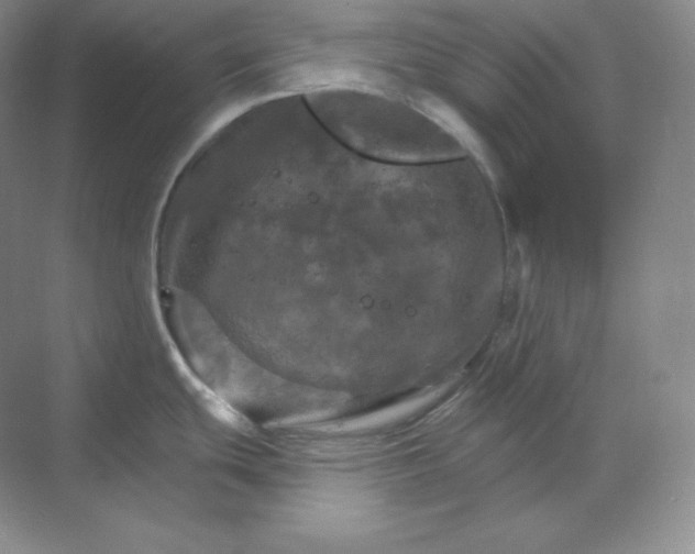 X0000068821439200605191822